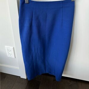 Blue Pencil Skirt w/ Gold Zipper